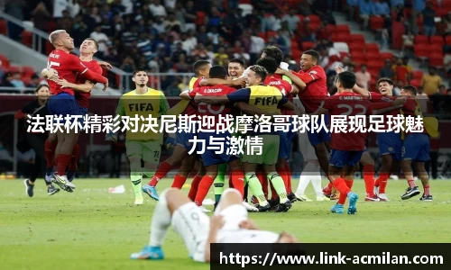 法联杯精彩对决尼斯迎战摩洛哥球队展现足球魅力与激情